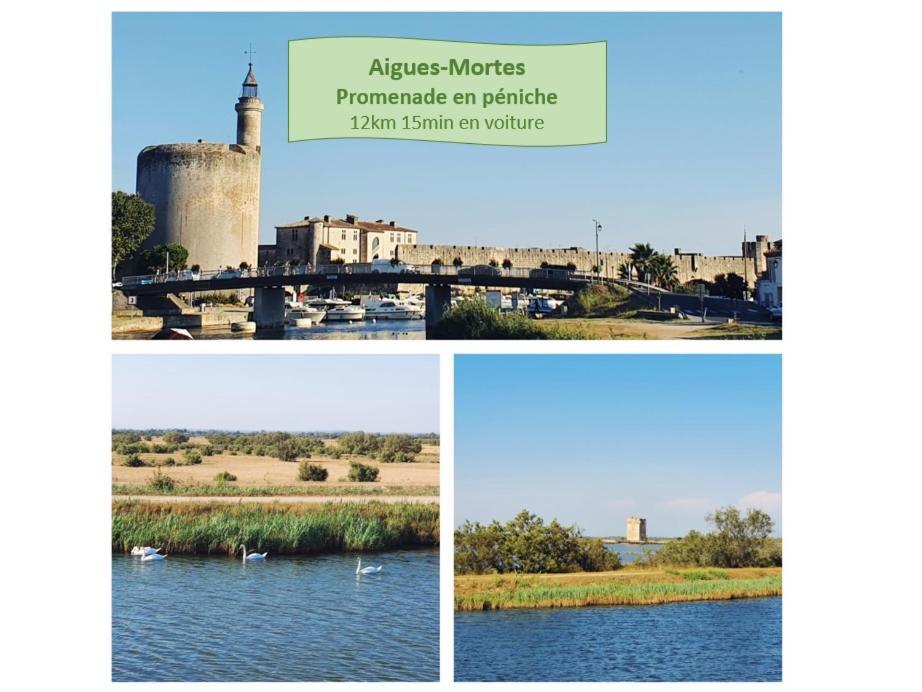 L'Olympe Vue Lac Parking Clim Wifi - Rossiconciergerie - Linge Inclus La Grande-Motte Esterno foto